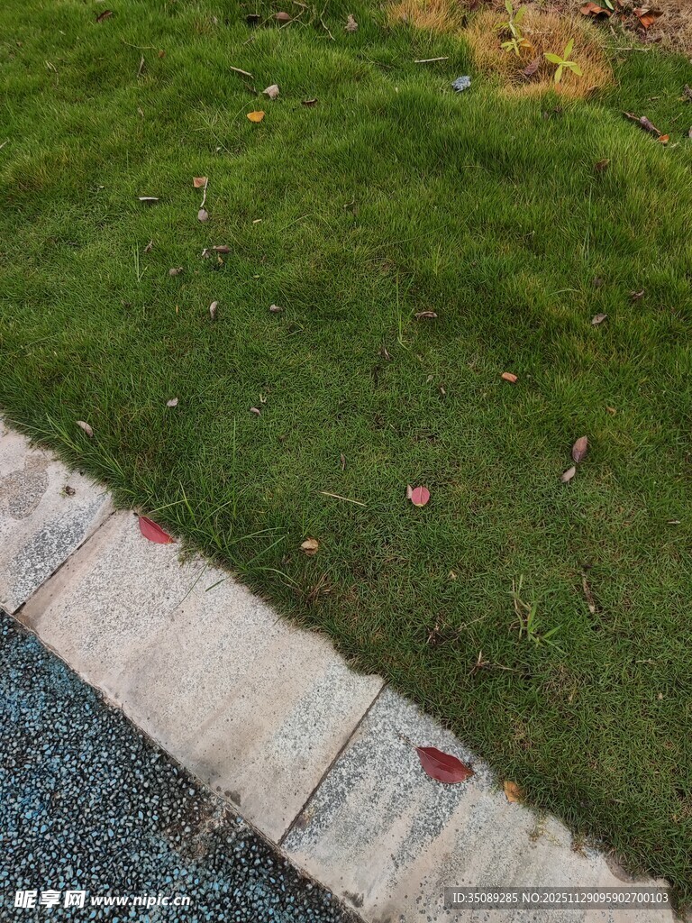 路边草地与碎石景观