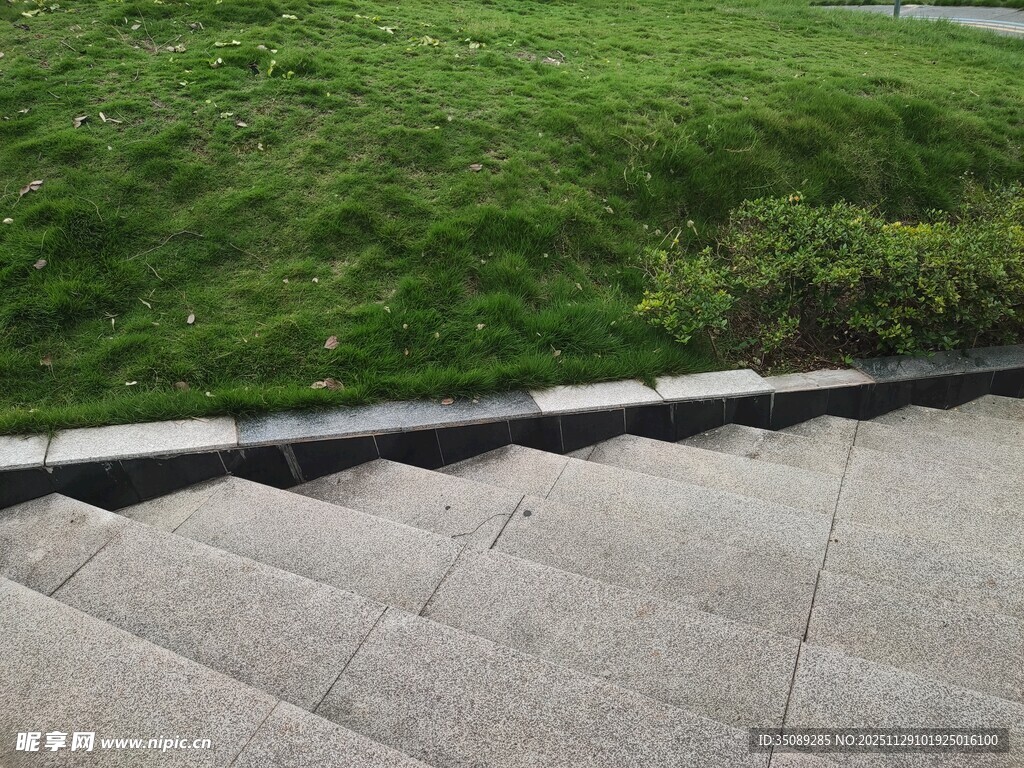 石阶旁的翠绿草坪