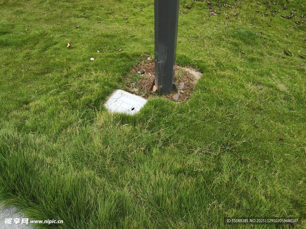树下草地中的白色物件