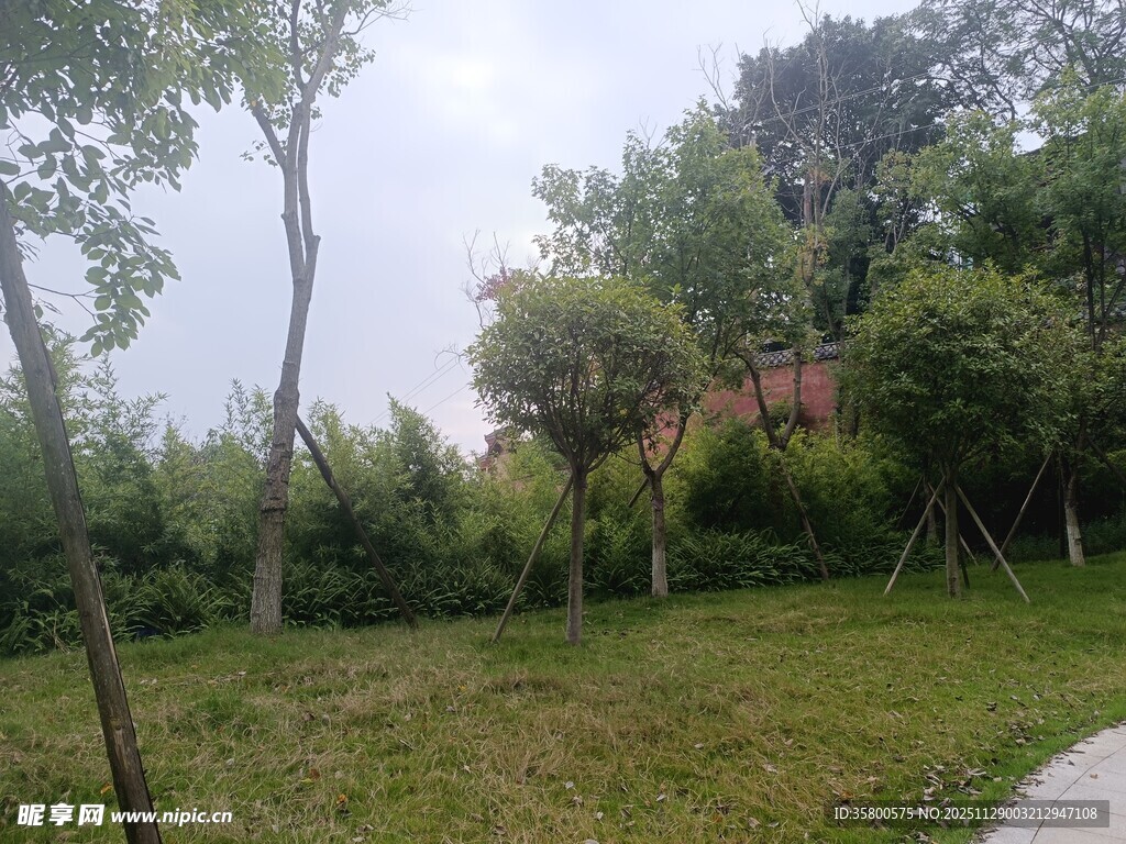 户外绿意盎然的草地风景