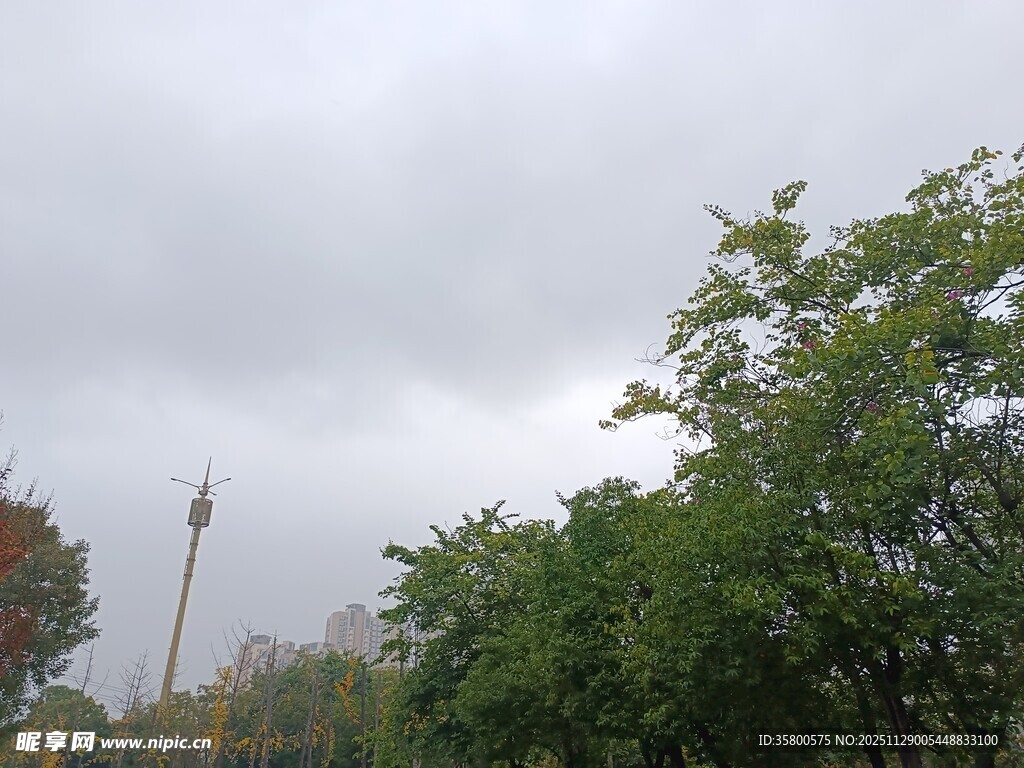 阴天树林中的通信塔