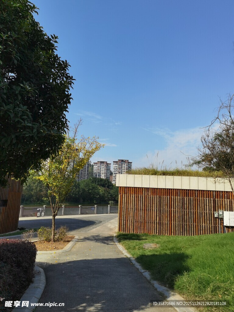 户外宁静的庭院风景