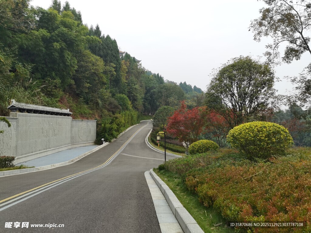 山间清幽道路景观