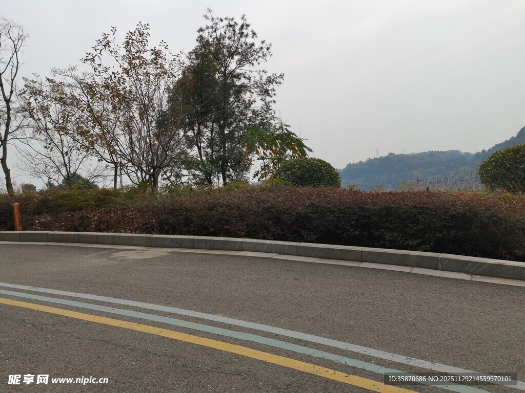 公路旁的树木与远山景色