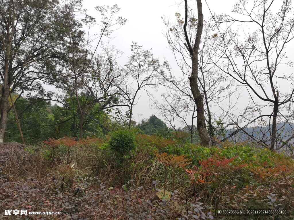 山林间的自然景致