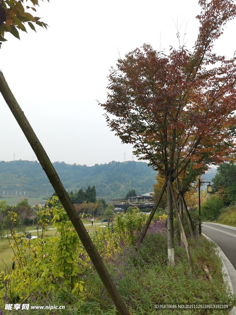 山间蜿蜒小路秋景