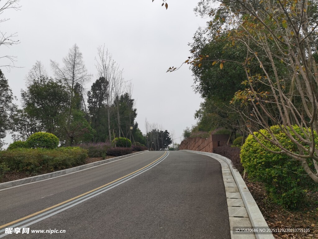 蜿蜒公路旁的绿植景观