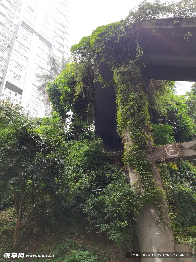 废弃建筑被绿植覆盖景象