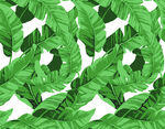 翠绿龟背竹叶无缝图案