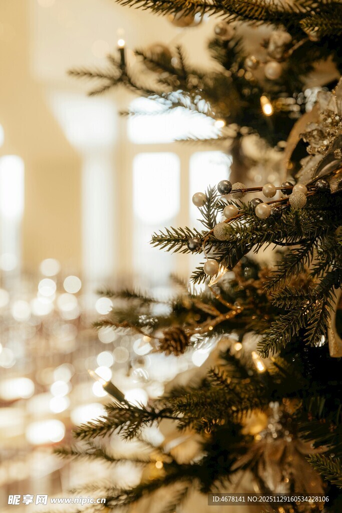 圣诞树枝特写节日氛围浓