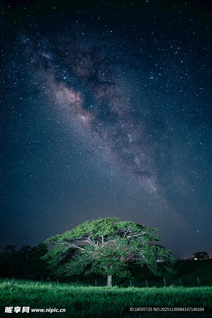 星空下的绿意山丘