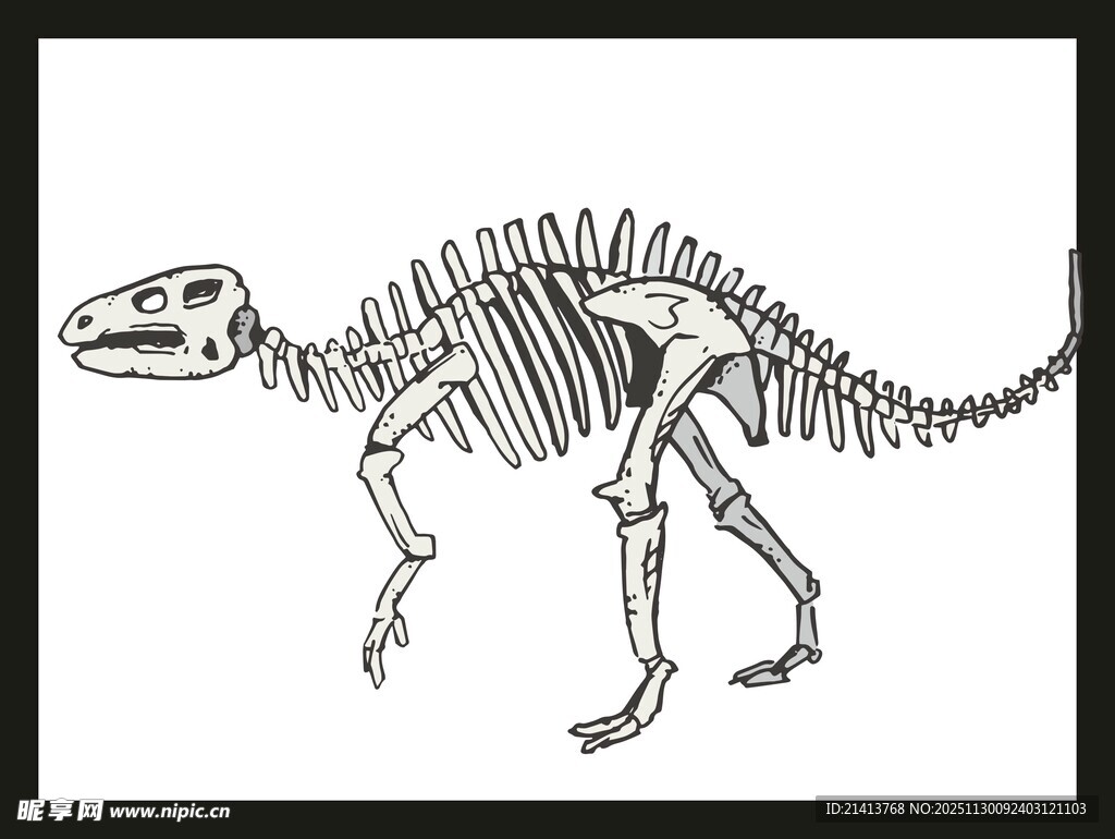 恐龙骨架素描图