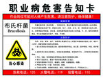 布氏杆菌告知卡