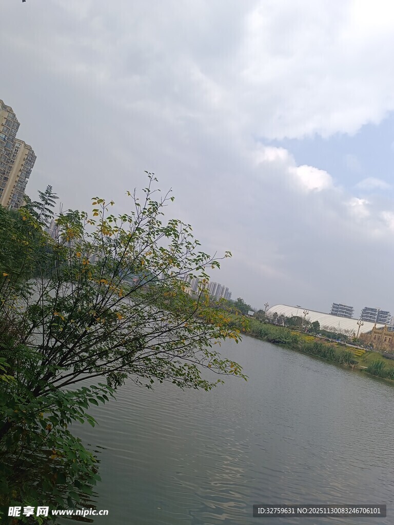 河畔绿植与城市天际线