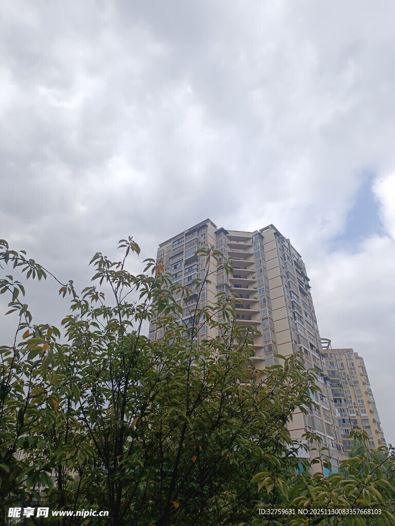 高楼矗立在绿植之上