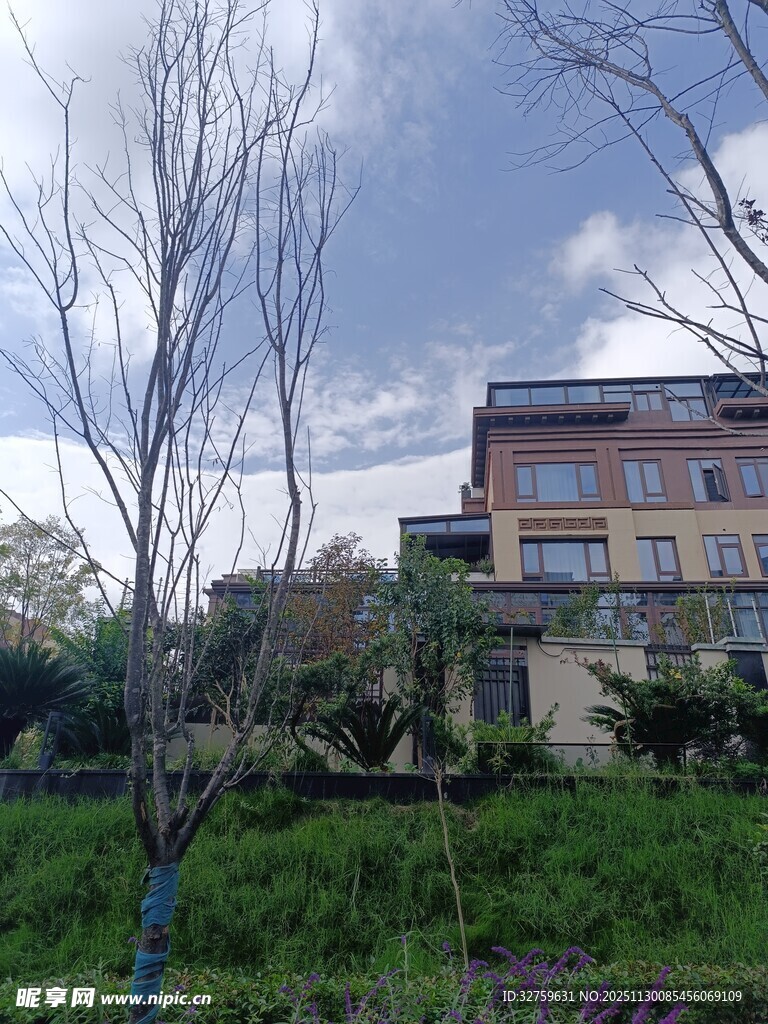 山坡上的多彩建筑