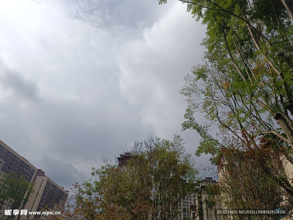 阴天城市中的绿植景观