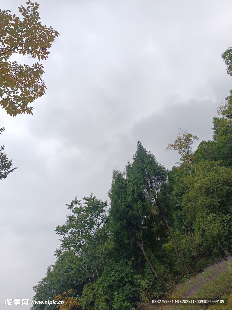 山林云雾间的绿意景致