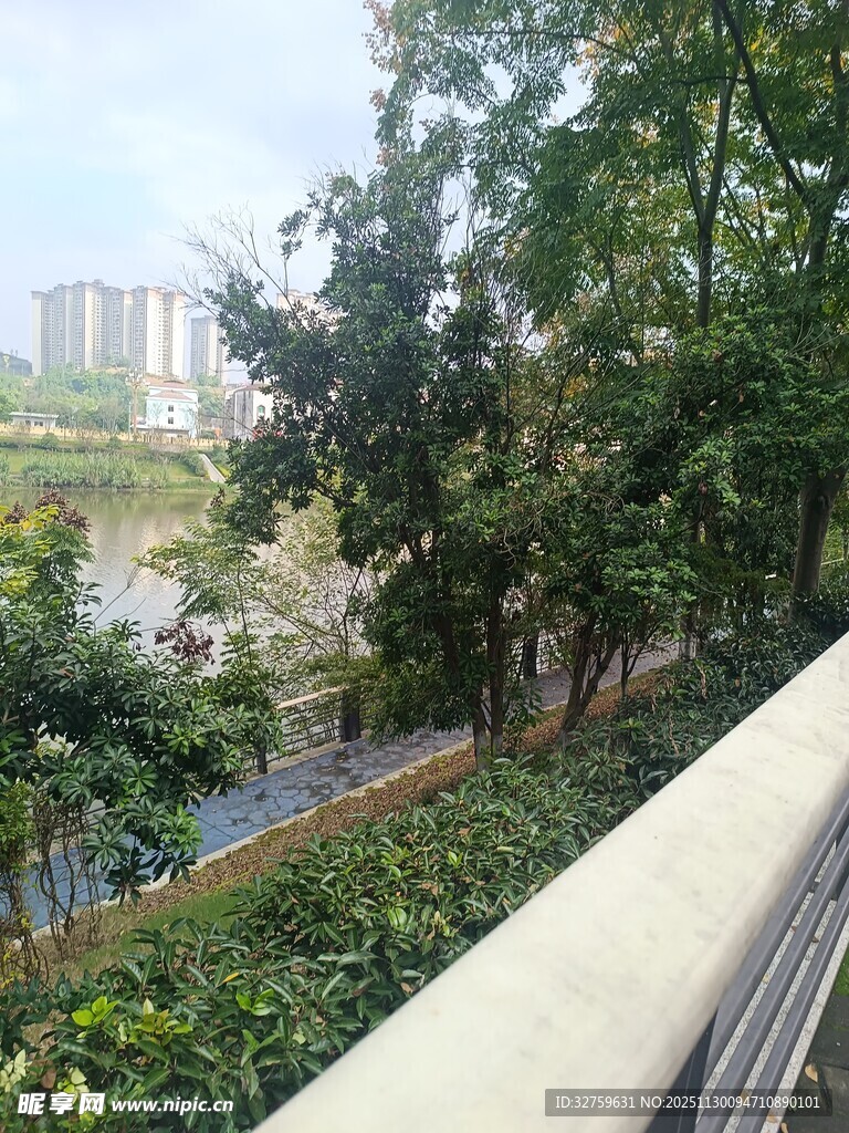 俯瞰绿树环绕的城市景观