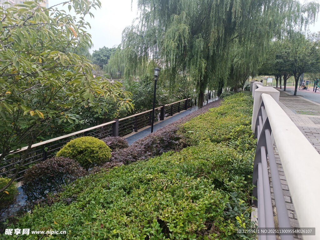 河畔绿植环绕的静谧步道