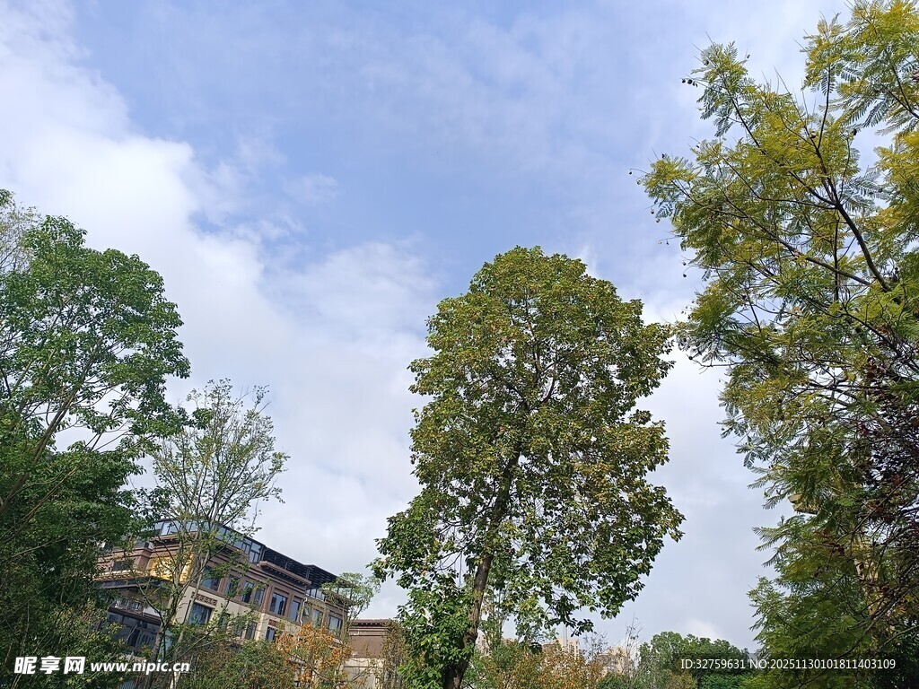 绿树环绕的乡村景致