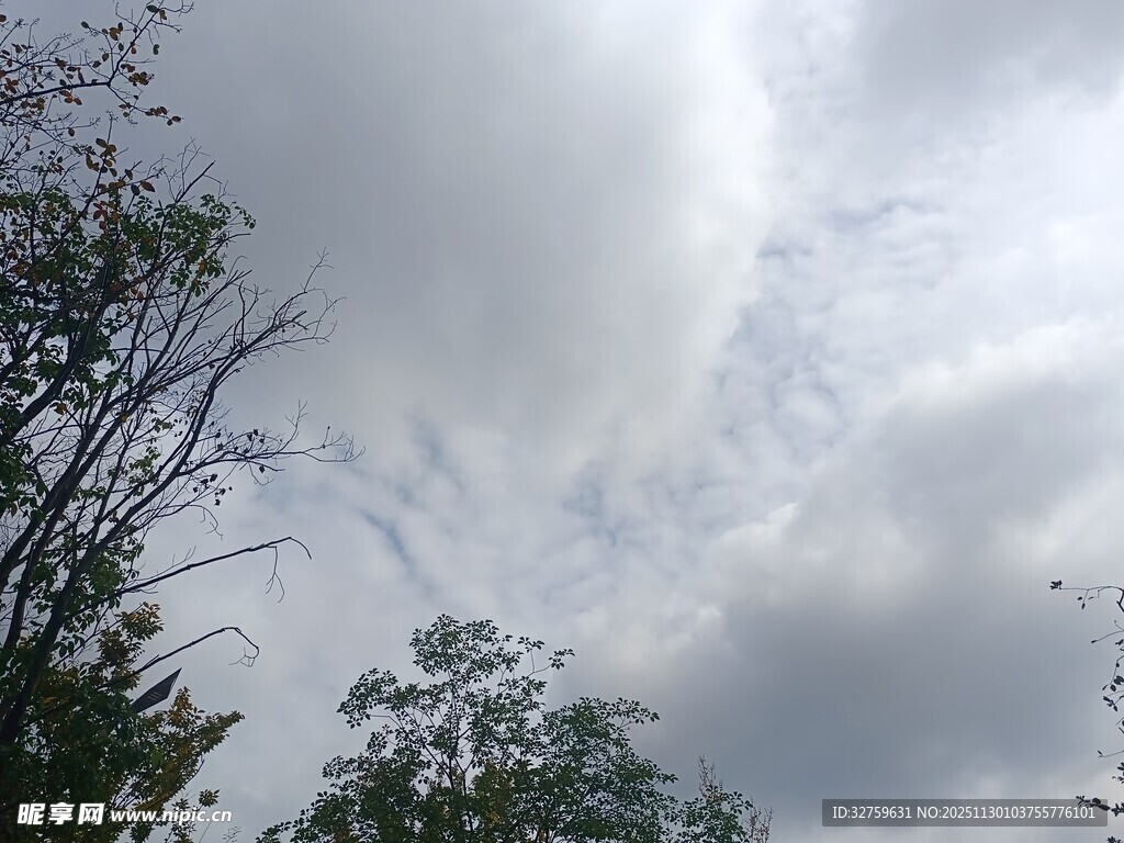 天空中飘浮的层叠云朵