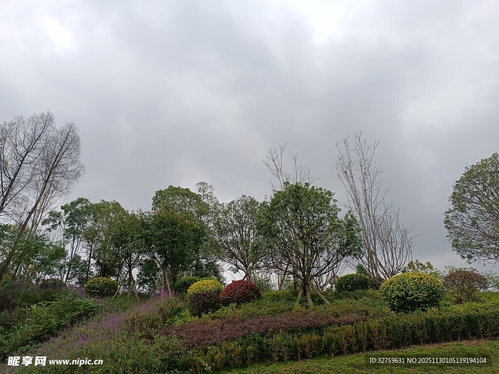 阴天中的多彩园林景观