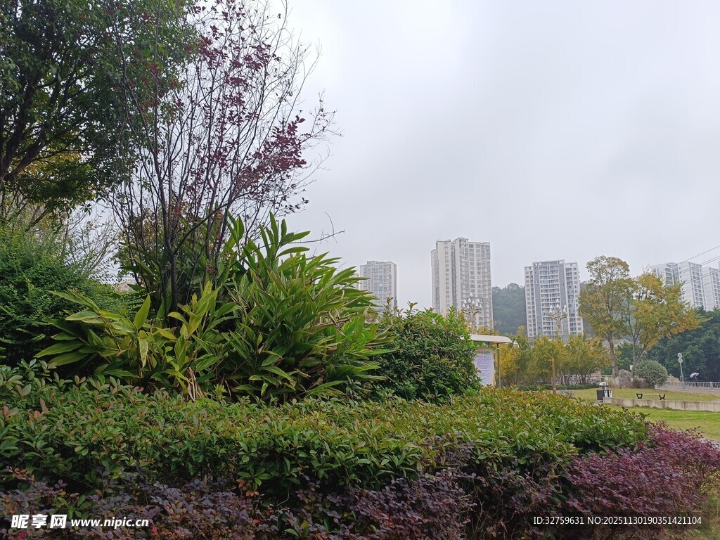 城市中的绿植景观