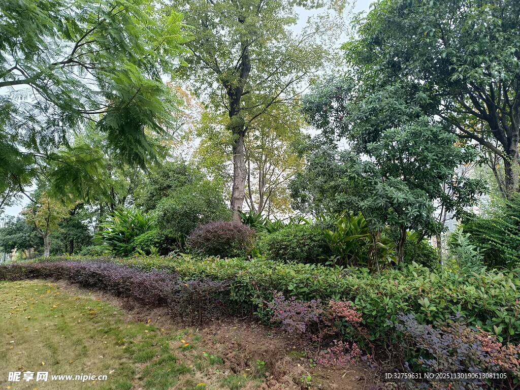 绿意盎然的园林景观