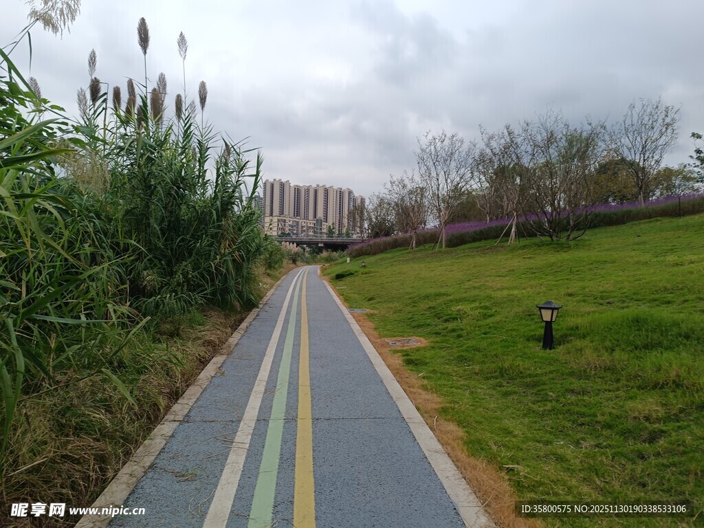 城市中的多彩骑行步道