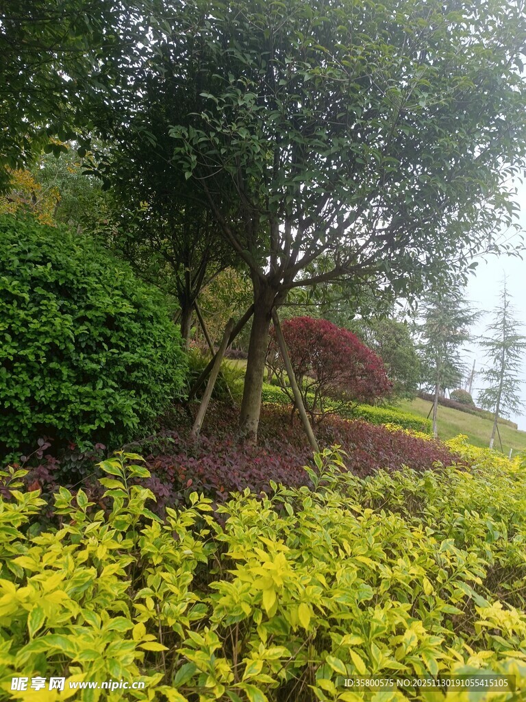 春日多彩植物景观