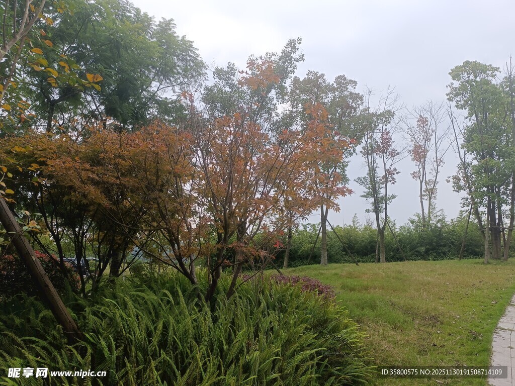 户外绿意盎然的自然景致