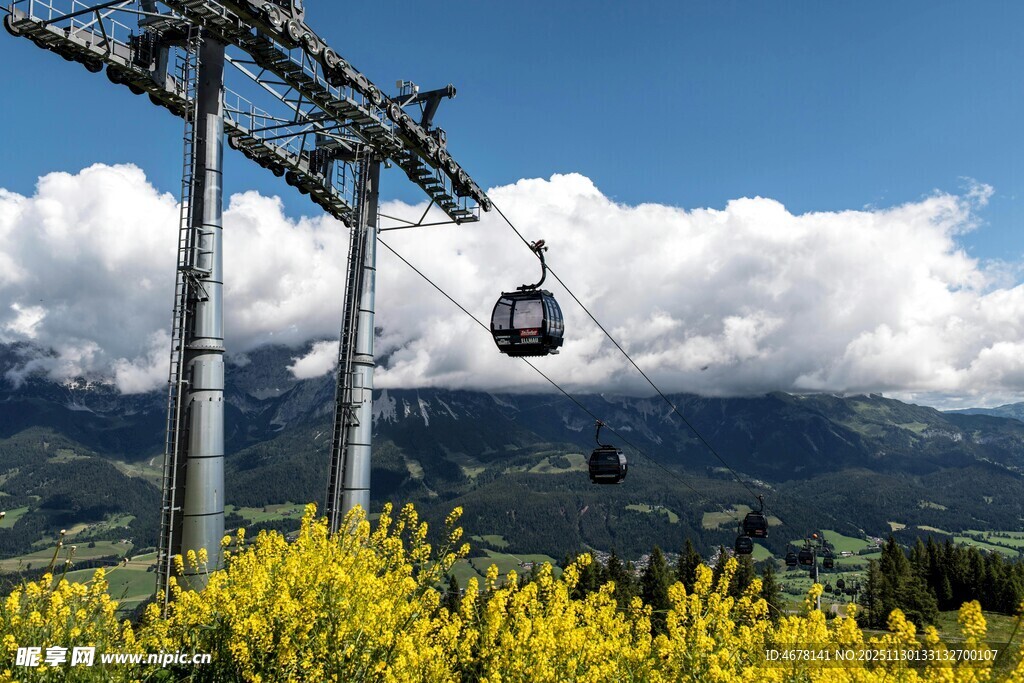 山间缆车穿行于花海蓝天