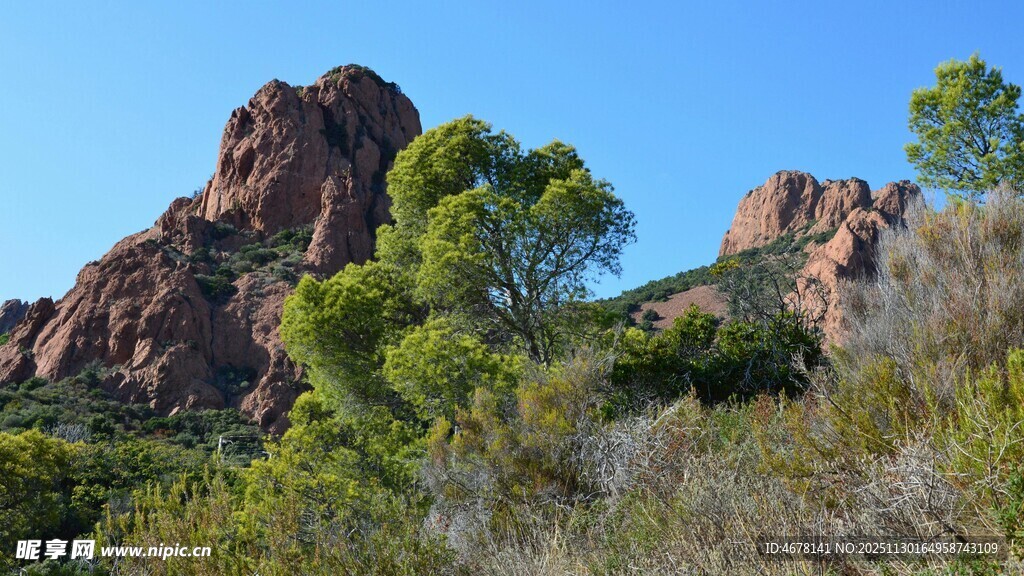 红岩绿树的自然美景