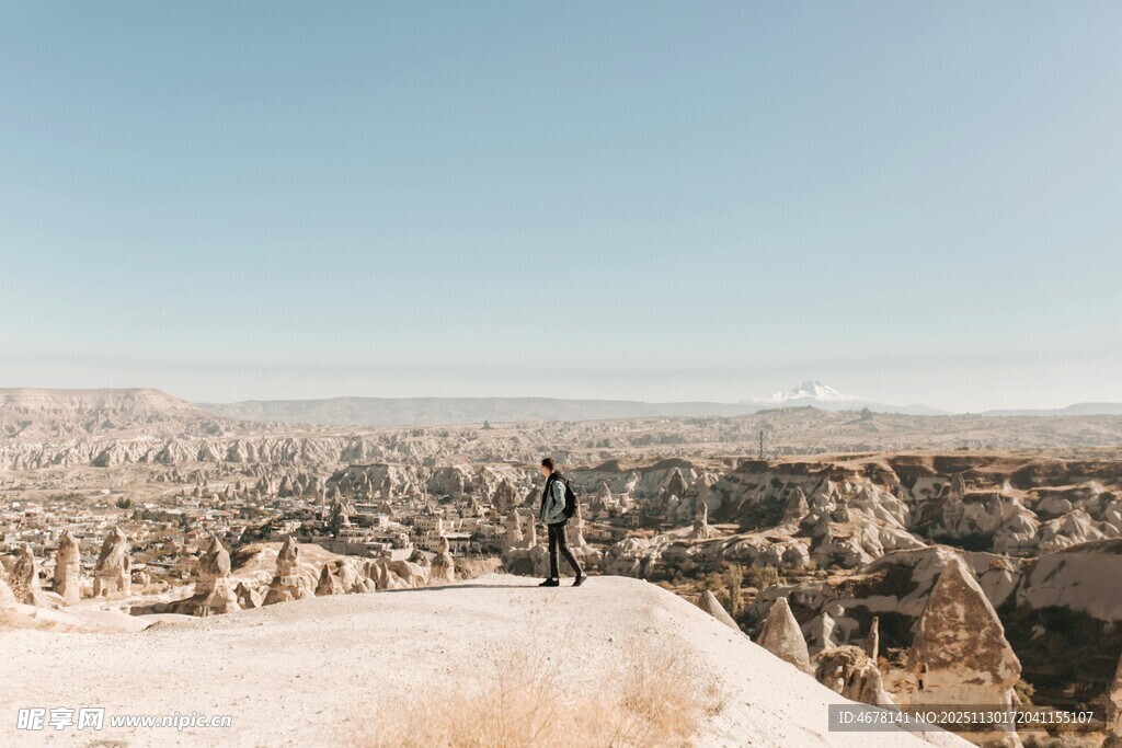 沙漠中的骆驼群景观