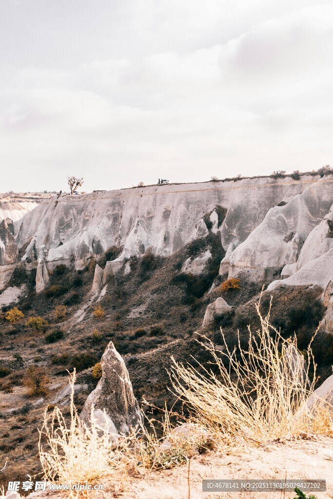 荒凉山崖边的自然景致
