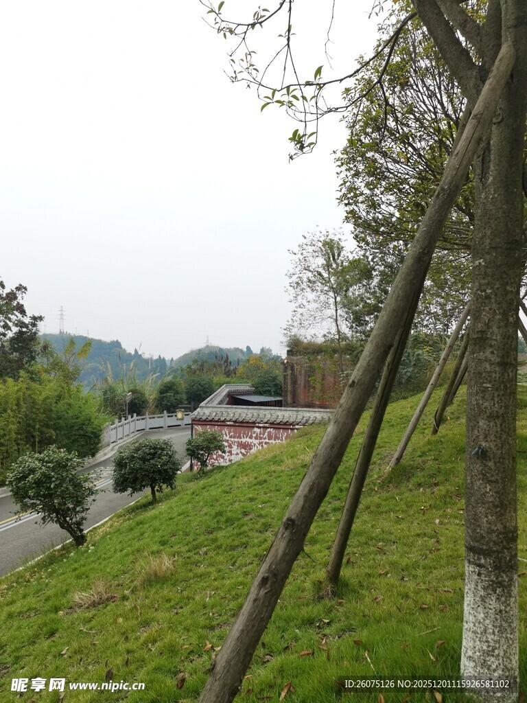 户外草地旁的树木与远景