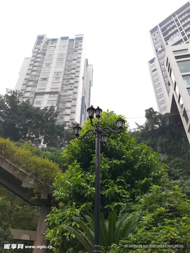 城市绿植中的工人身影