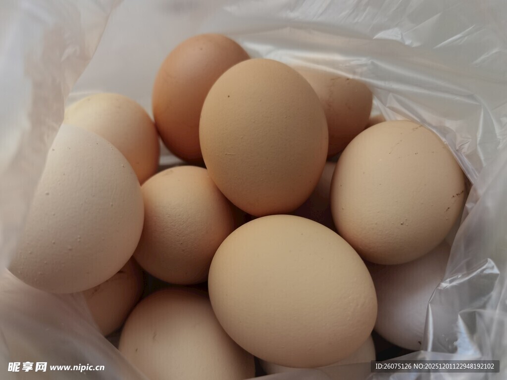 一袋新鲜农家土鸡蛋