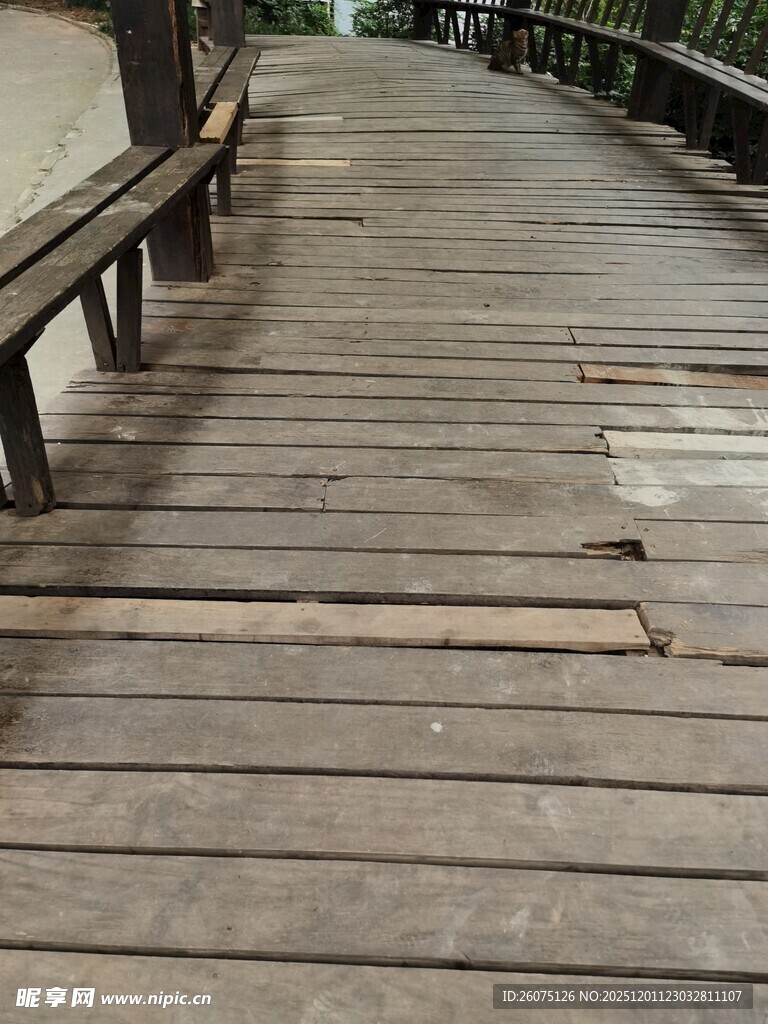 木质栈道静谧自然景致