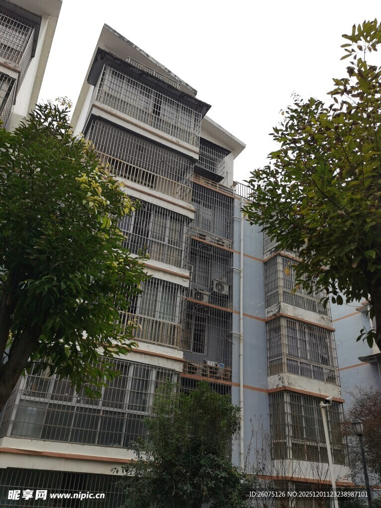 多层居民楼外观景象