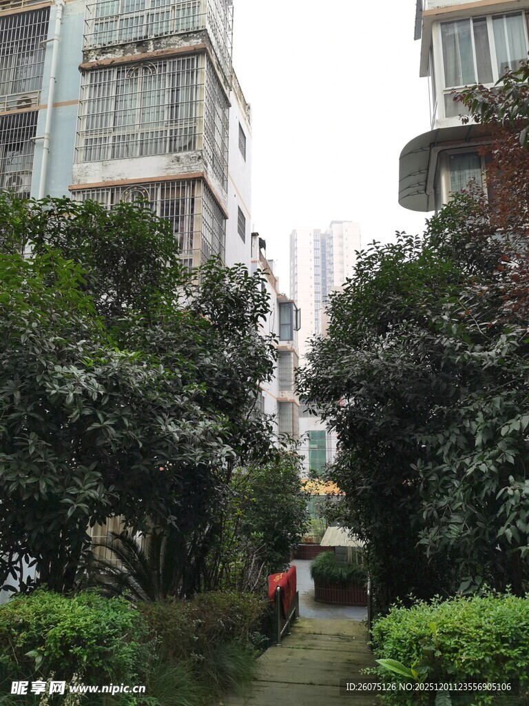 小区内的绿化小道景观