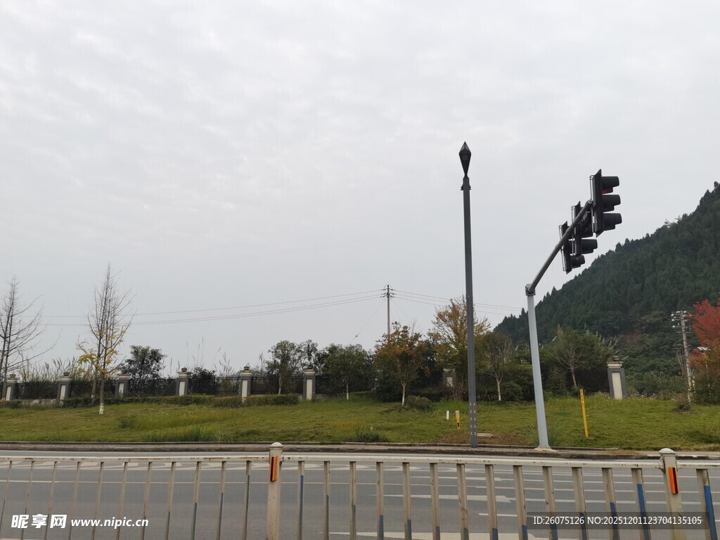 户外道路旁的交通信号灯