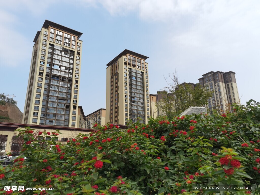 高楼旁繁花盛开的景致