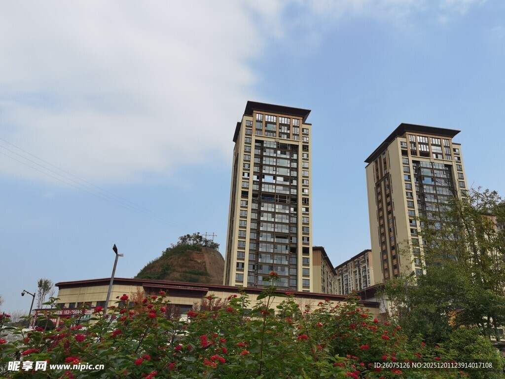 城市高楼与绿植景观