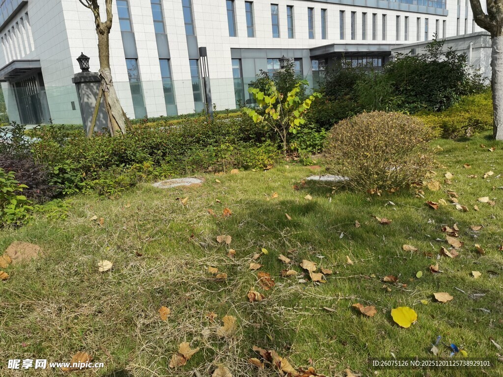 户外绿植环绕的建筑景观