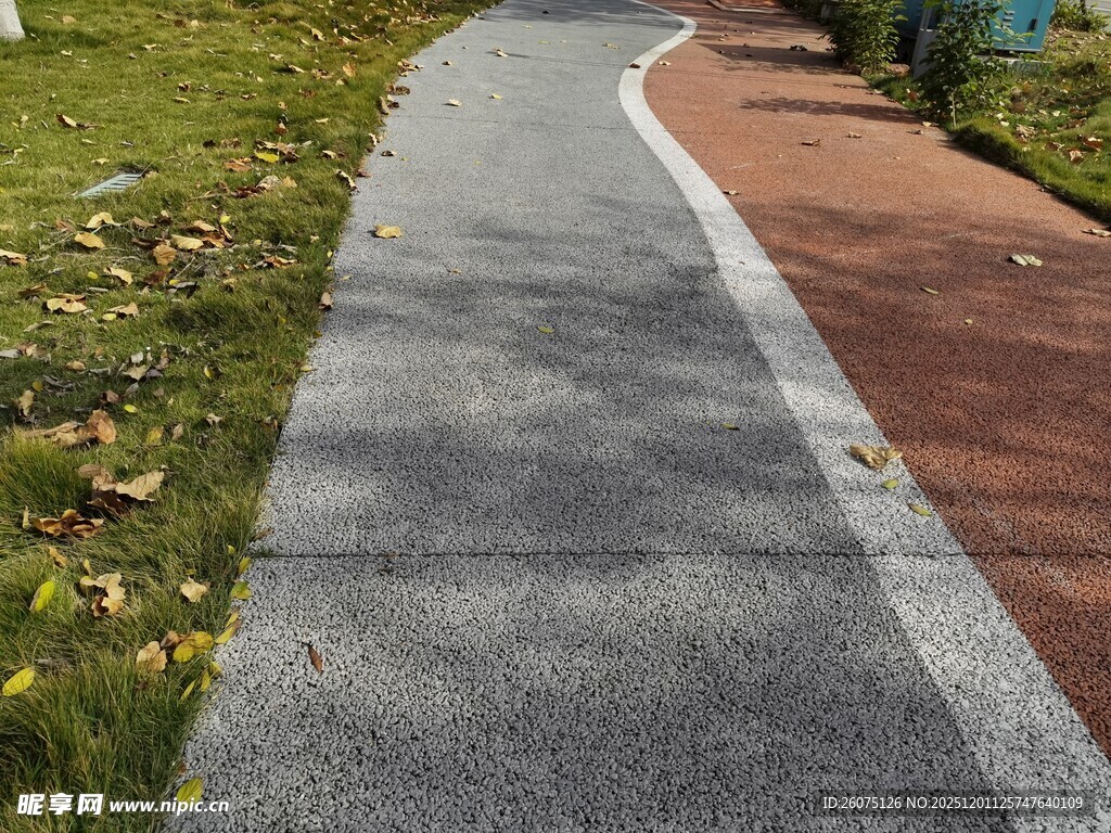 蜿蜒多彩步道绿意相伴