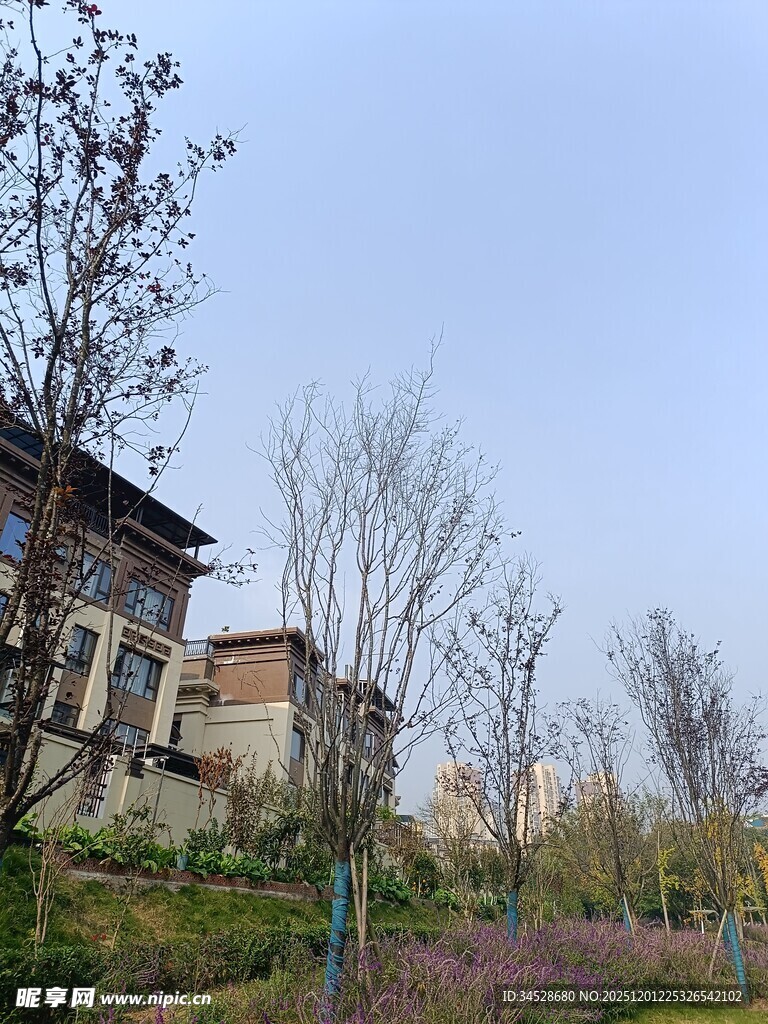 山坡上的古朴建筑