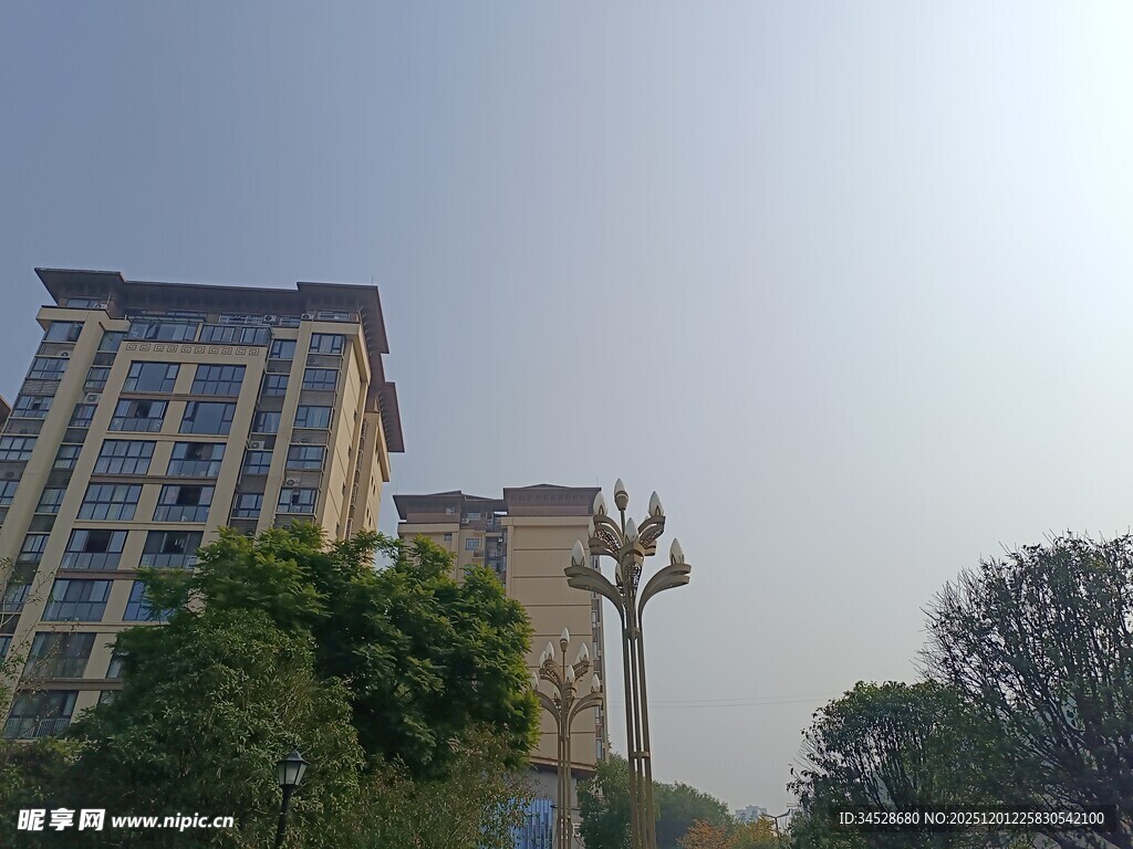 城市高楼与绿植景观