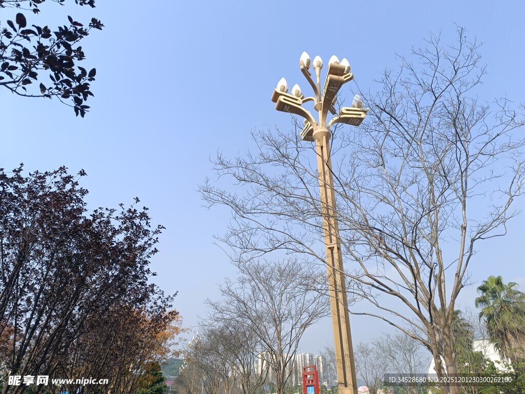 高耸路灯立于树木间